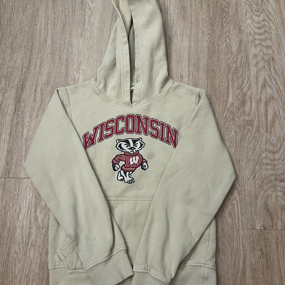 university of wisconsin sweatshirt